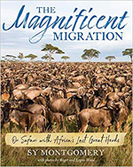 The Magnificent Migration