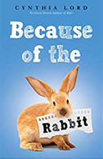 Because of the Rabbit