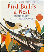 Bird Builds a Nest