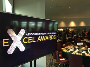 Excel Awards