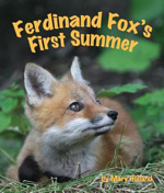 ferdinand fox