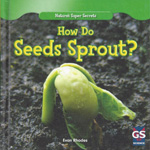 how do seeds sprout