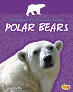 polar bears