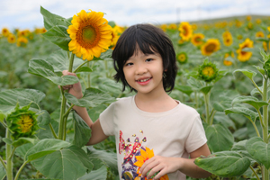 Young Child With Sunflower