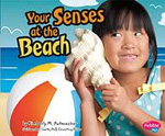 your senses at the beach